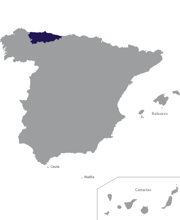 Landkaart Spanje grijs met regio Asturië donkerblauw op transparante achtergrond - 600 * 733 pixels